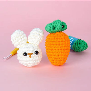 Beginner Crochet Kit